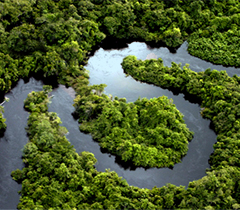 Ecoturismo no Brasil Amazônia