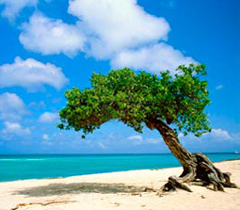 Pacotes Internacionais para Aruba