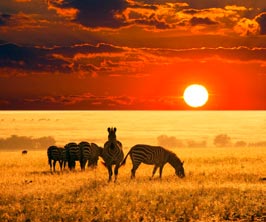 �frica