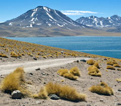 Carnaval no Deserto do Atacama