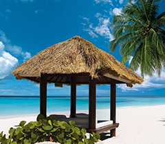 Pacote de Carnaval em Punta Cana Pacote de Carnaval em Punta Cana