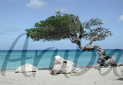 Aruba - Ag&ecirc;ncia de Viagens