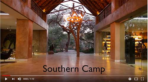 Vídeo Kapama Southern Camp