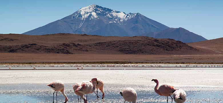 Pacote de Reveillon em Santiago e Atacama