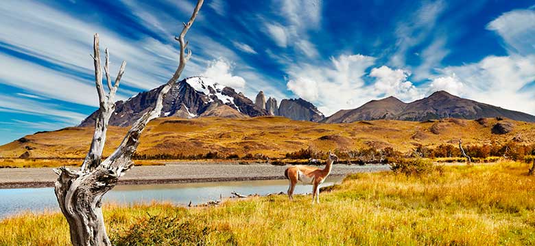 Pacote para Réveillon - Patagônia Chilena e Argentina