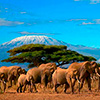 Roteiro detalhado do pacote Sky Safari Quênia