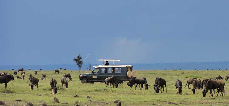 Pacotes de Viagem para África