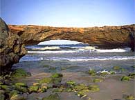 Ponte Natural