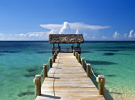 bahamas5