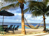 bonaire8