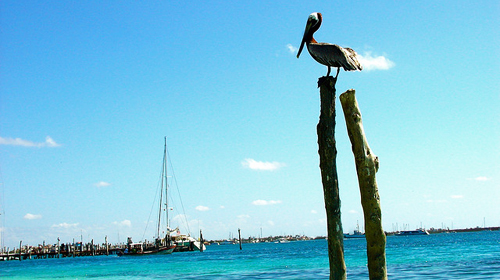 Passeio Cancun Isla Mujeres