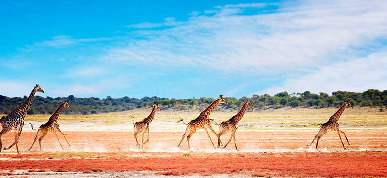 Pacotes de Viagem para Namíbia