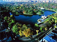 Central Park - Nova York