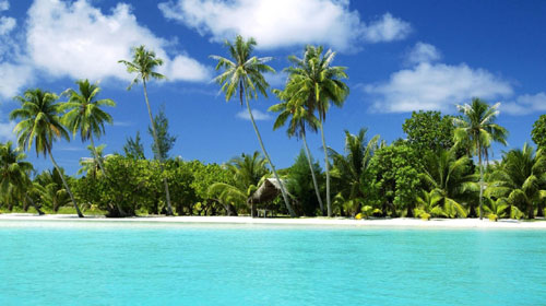 Pacotes para Punta Cana