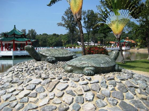 Turtle Island - Cingapura