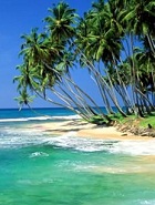 Sri Lanka Sri Lanka