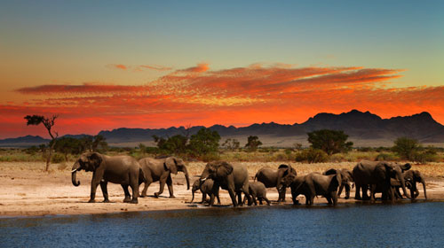 Pacotes de viagens com Grupo Brasileiros na Africa