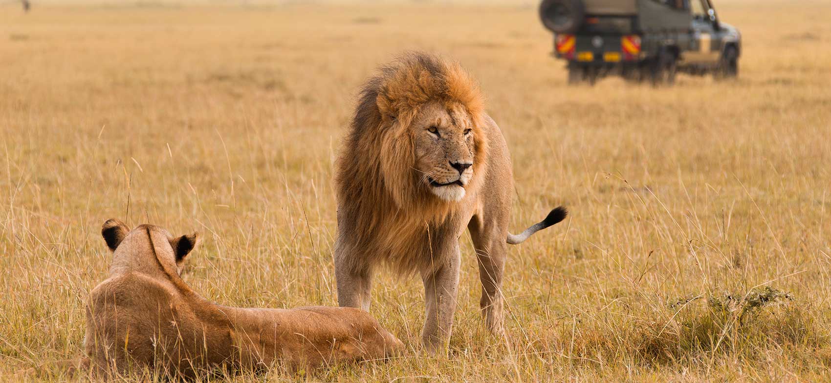 Pacotes de Viagem para África