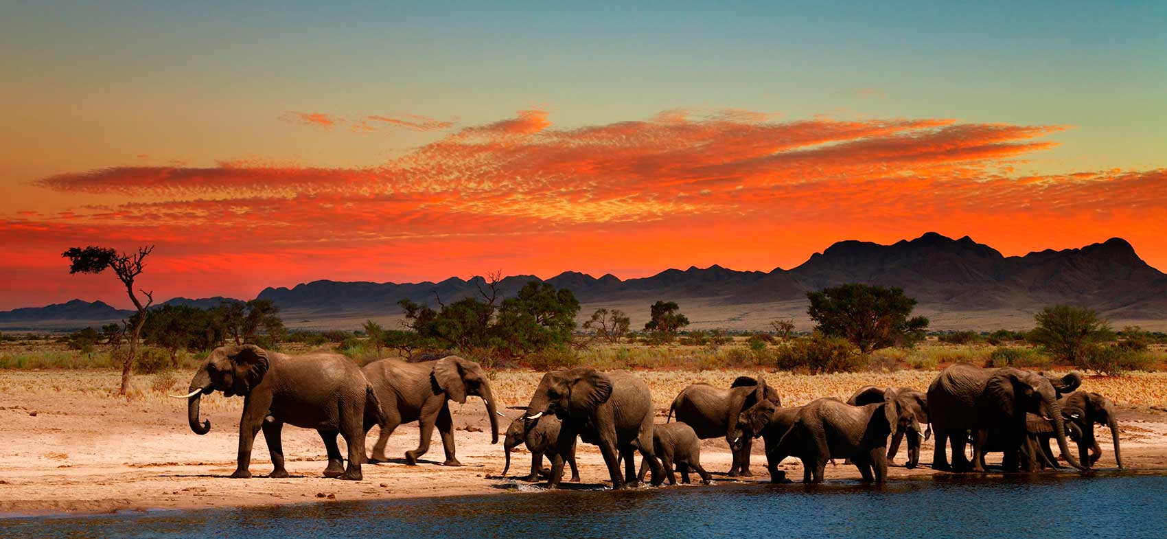 Pacotes de Viagem para África