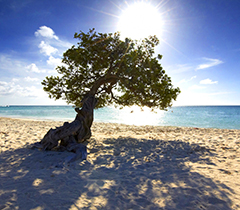 Pacotes Férias de Janeiro Aruba