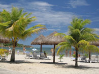Vila Galé Eco Resort do Cabo - Serviços