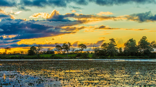 Ecoturismo no Pantanal