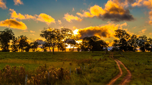 Ecoturismo no Pantanal