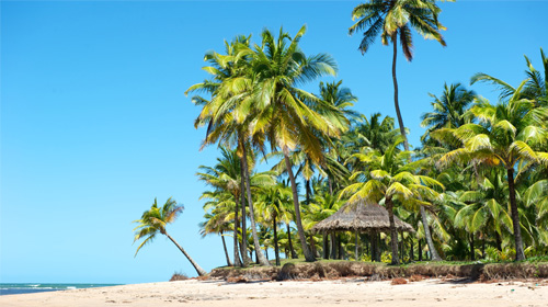 Ecoturismo na Península de Maraú
