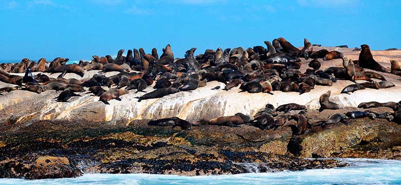 Cabo da Boa Esperança