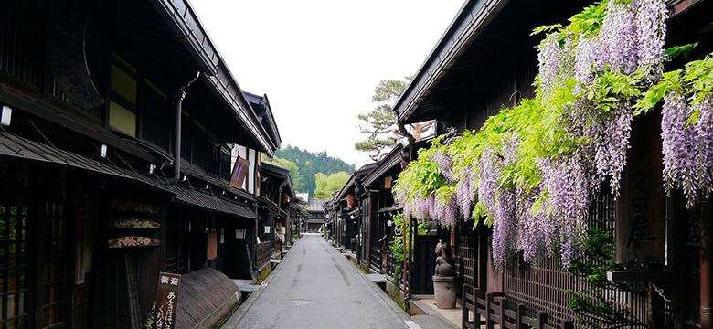Pacote de viagem com Grupos Brasileiros no Japão