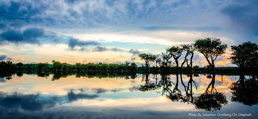 Pacote Amazônia, Ilha do Marajó e Alter do Chão
