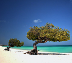 Lua de Mel em Aruba