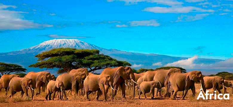Pacote de viagem para África |Agência de viagem e turismo | ViaBr