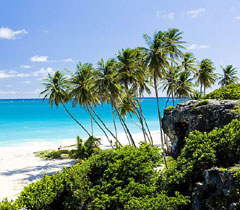Lua de Mel em Barbados