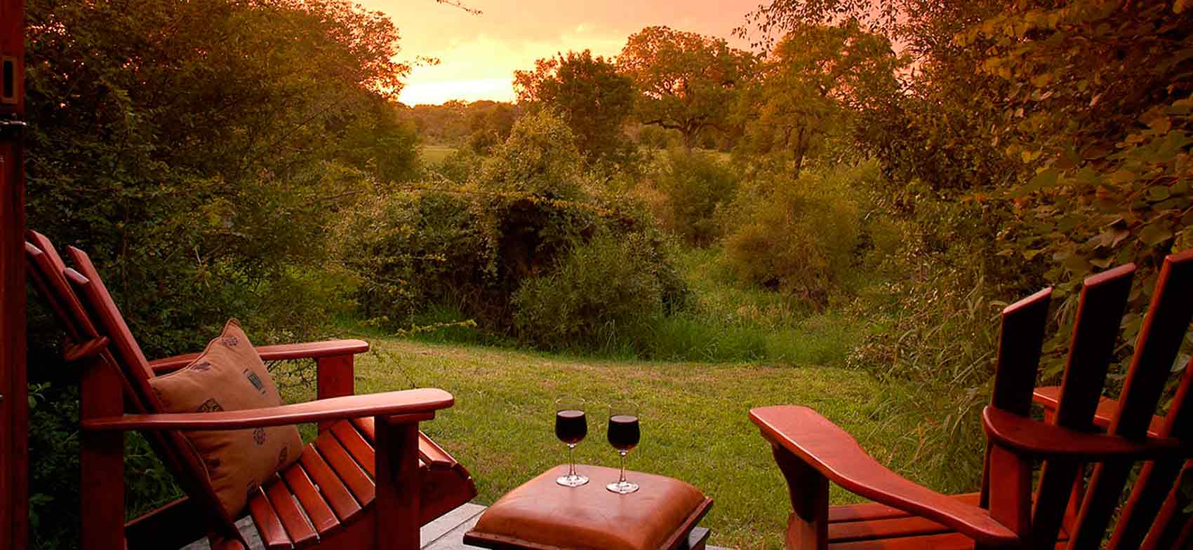 Sabi Bush 