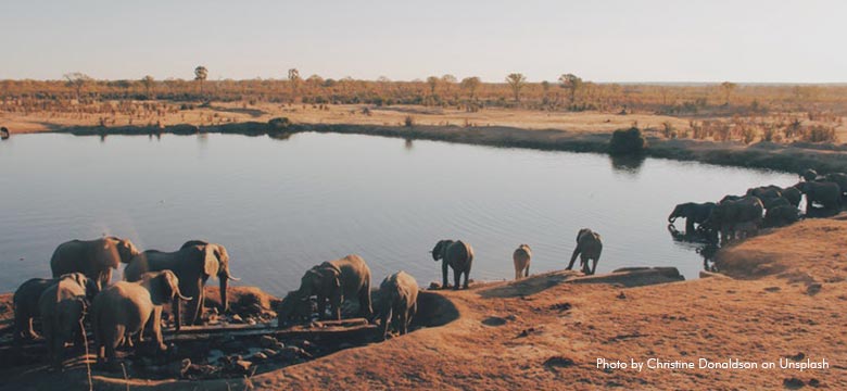 Hwange