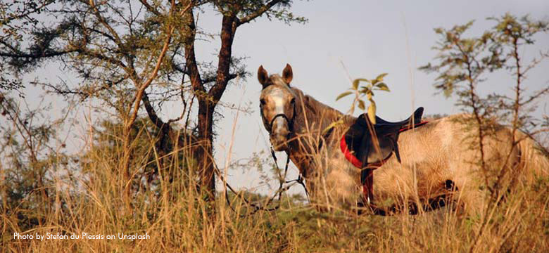 Nelspruit