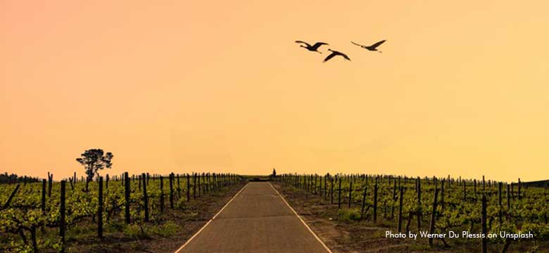 Pacote de Reveillon no Kruger & Vinhos