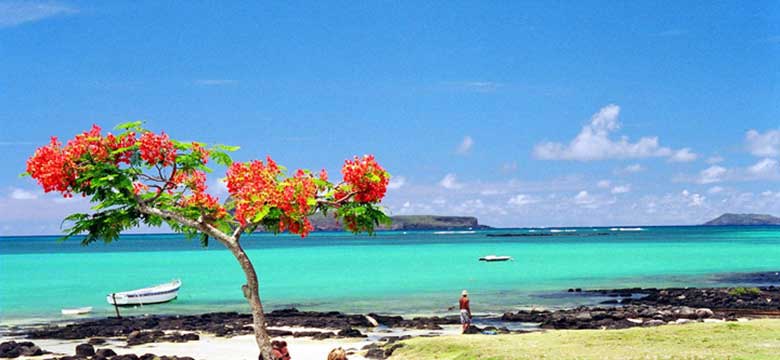 Pacote para Mauritius, Cape Town e Kruger Park