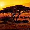 Roteiro detalhado do pacote para África do Sul Clássica em Português Roteiro detalhado do pacote para África do Sul Clássica em Português