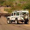 Roteiro detalhado do pacote Férias de Julho na África do Sul