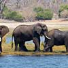 Roteiro detalhado do pacote África do Sul, Zimbábue e Botswana
