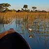 Roteiro detalhado do pacote Botswana e Zâmbia Roteiro detalhado do pacote Botswana e Zâmbia