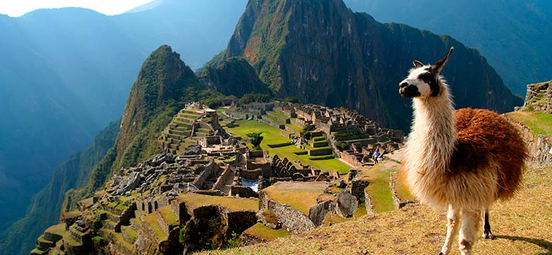 Pacote para Peru