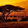 Roteiro detalhado do pacote África do Sul e Zimbábue