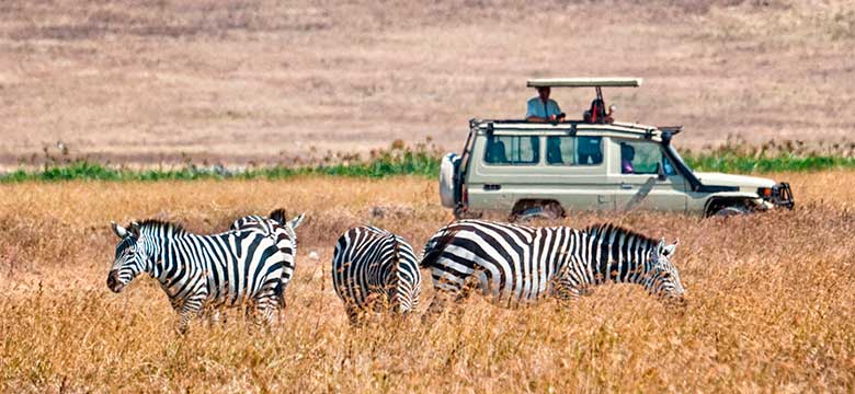 Pacotes de Viagem para África