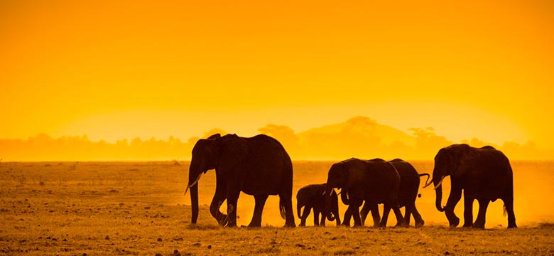 Pacotes de Viagem para África do Sul