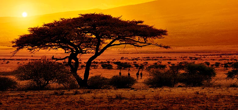 Pacotes de Viagem para África do Sul