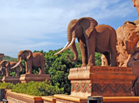 Sun City - África do Sul