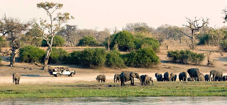 Pacotes de Viagem para África